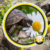 Gefildenlogo von Institut Chüücha – Artgerechte Schildkrötenhaltung